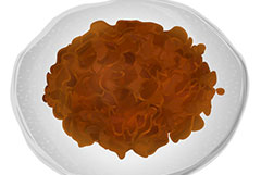 牛肉のしぐれ煮